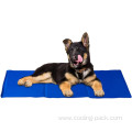 Cooling ice mat for dog